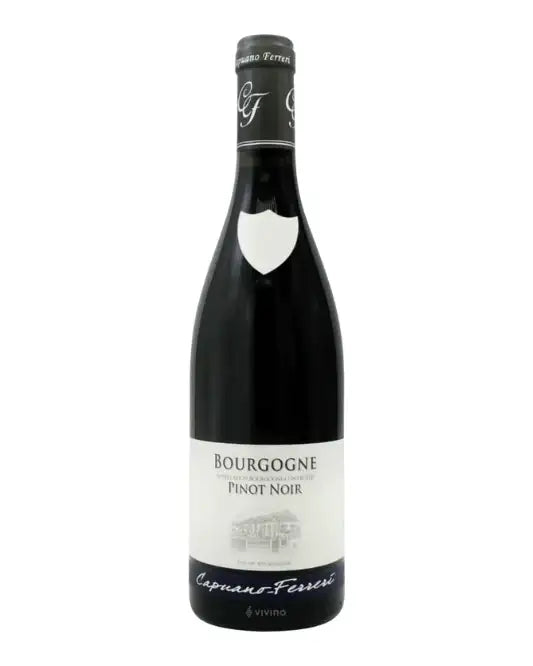 2022 Domaine Capuano-Ferreri Bourgogne Pinot Noir 750ml - Craft Republic Liquor